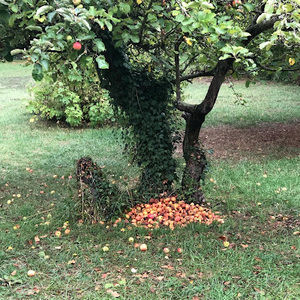 Meet your Posher, Jen